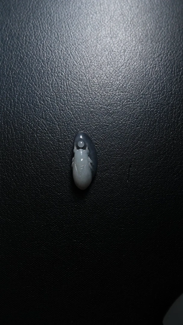 颈饰未镶嵌和田玉一鸣惊人