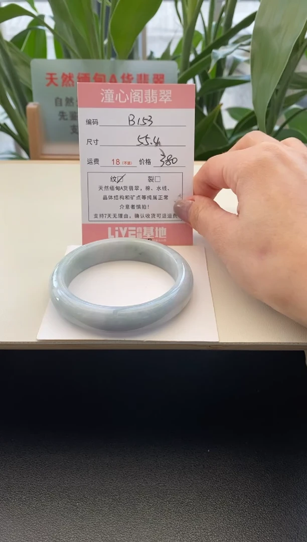 未镶嵌手镯翡翠55圈口B153