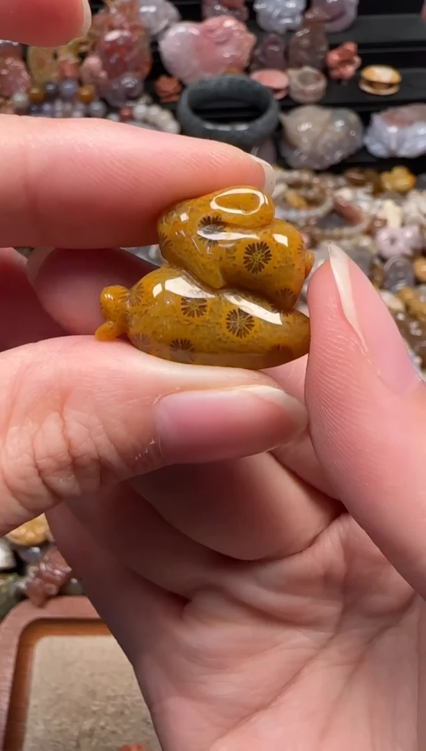 颈饰未镶嵌硅化珊瑚（珊瑚玉）346