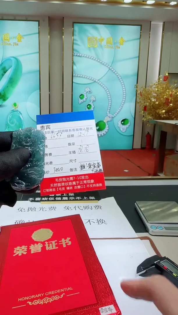 未镶嵌定制翡翠LL53翡翠吊坠赠珠链-多样性发其一