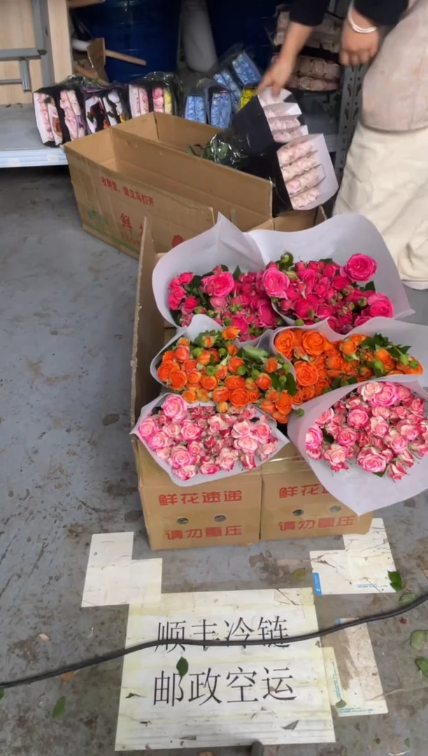 折射10枝+橙色芭比10枝+苏菲10枝