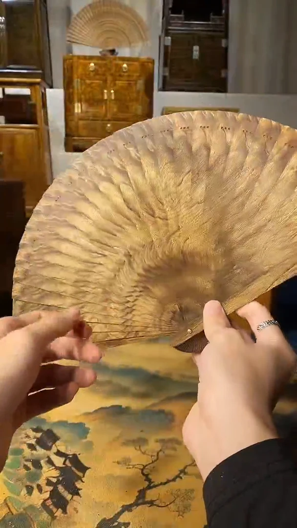 扇子金丝楠小叶桢楠苏扇26