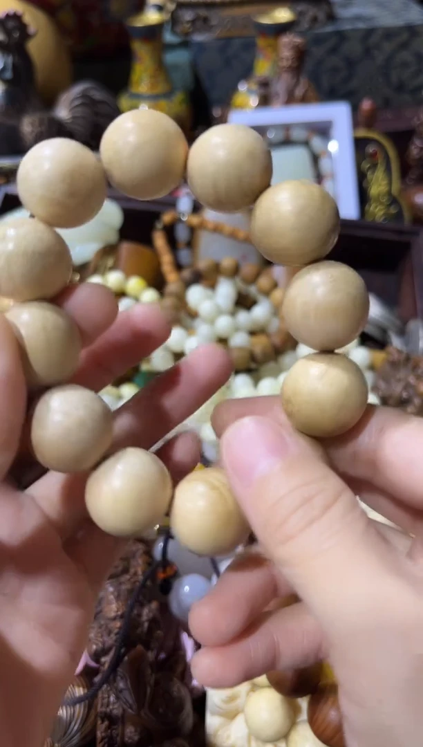 黄杨木11111111111111111111