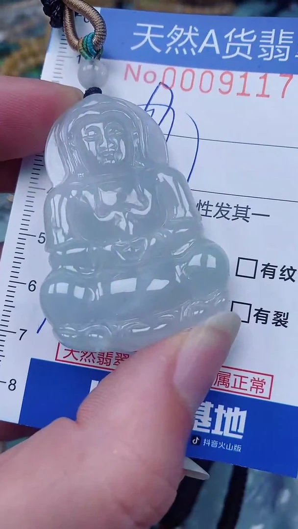 翡翠未镶嵌颈饰00009117