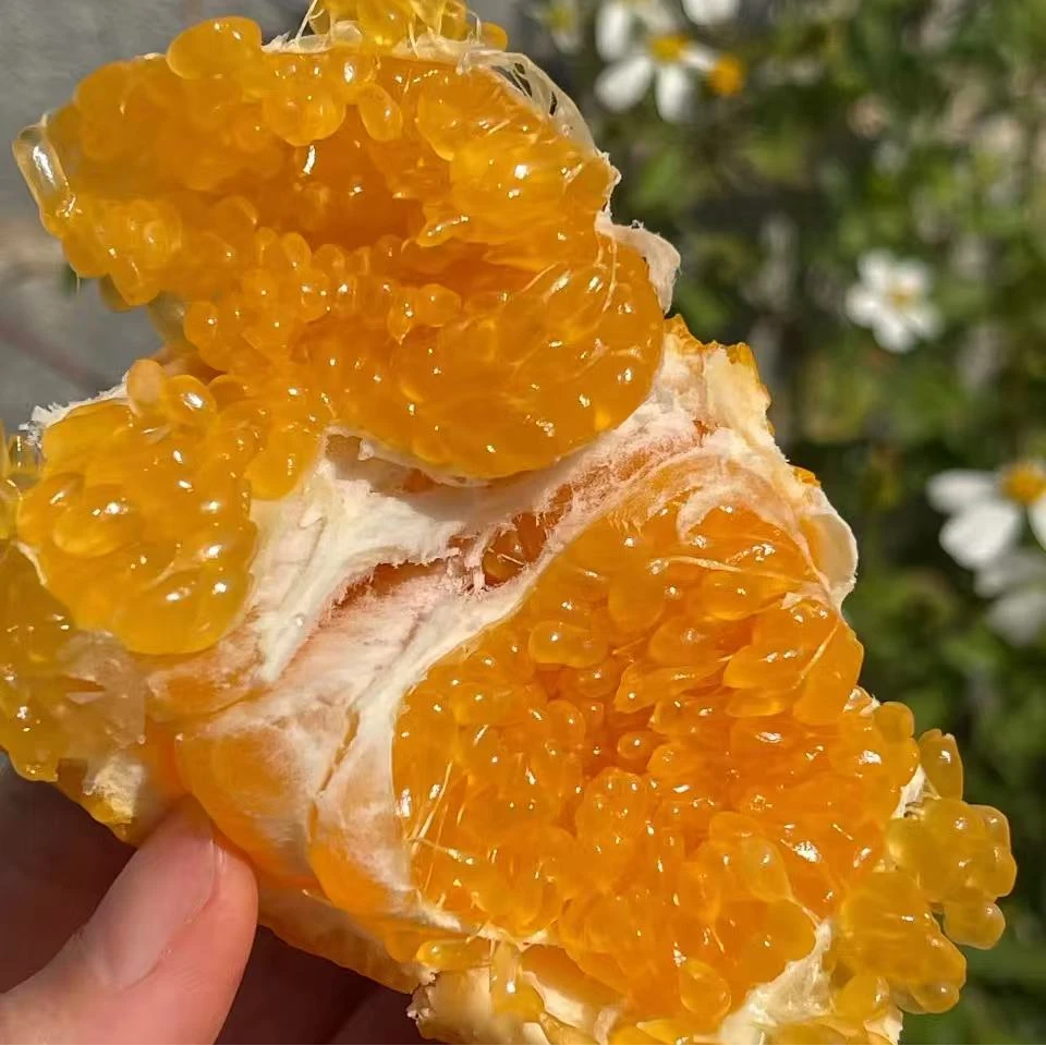 【来此购专属】四川爆汁耙耙柑10元一斤，现称现改