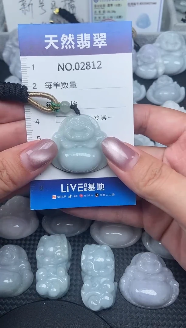 颈饰未镶嵌翡翠纯天然A货翡翠2812