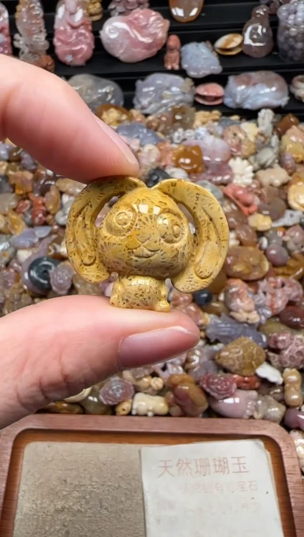 颈饰未镶嵌硅化珊瑚（珊瑚玉）554