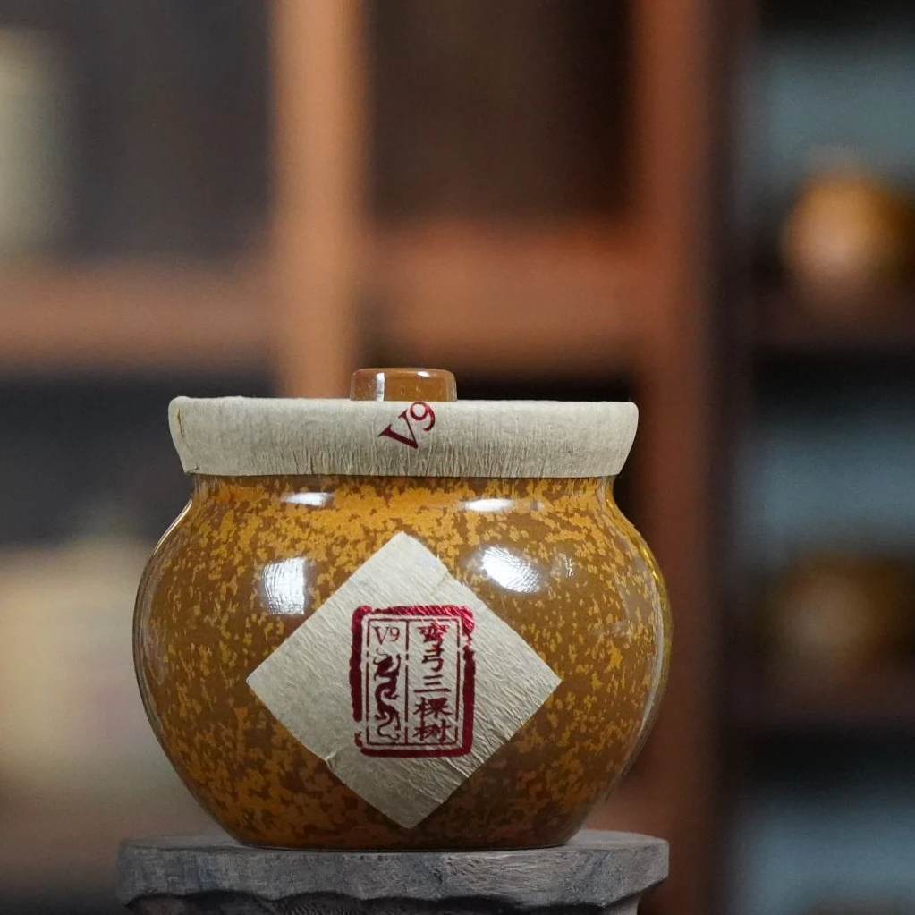 弯弓三棵树V9-2026年 纯古树龙珠茶 生茶 普洱茶春茶沱茶