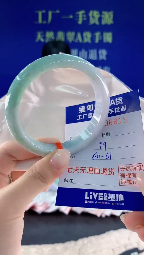 未镶嵌手镯翡翠13