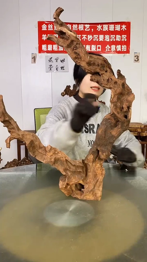 木不****景金丝红木  羊蹄甲