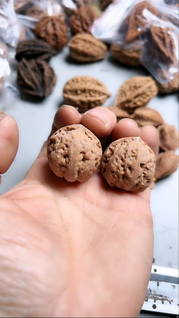 核桃东北野生大秋子3