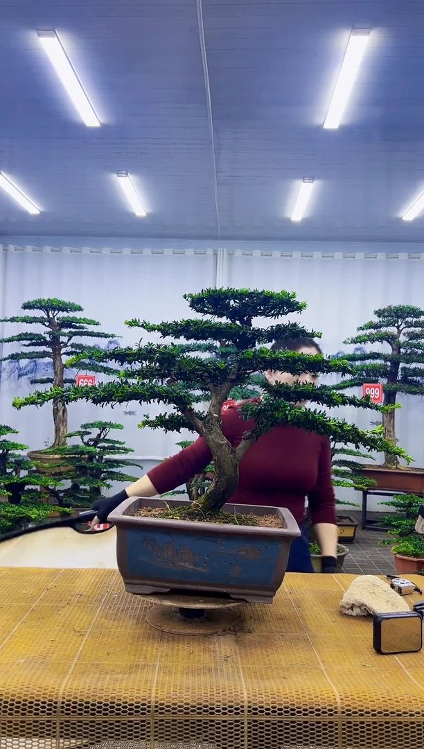 凌*平000000000000000000000