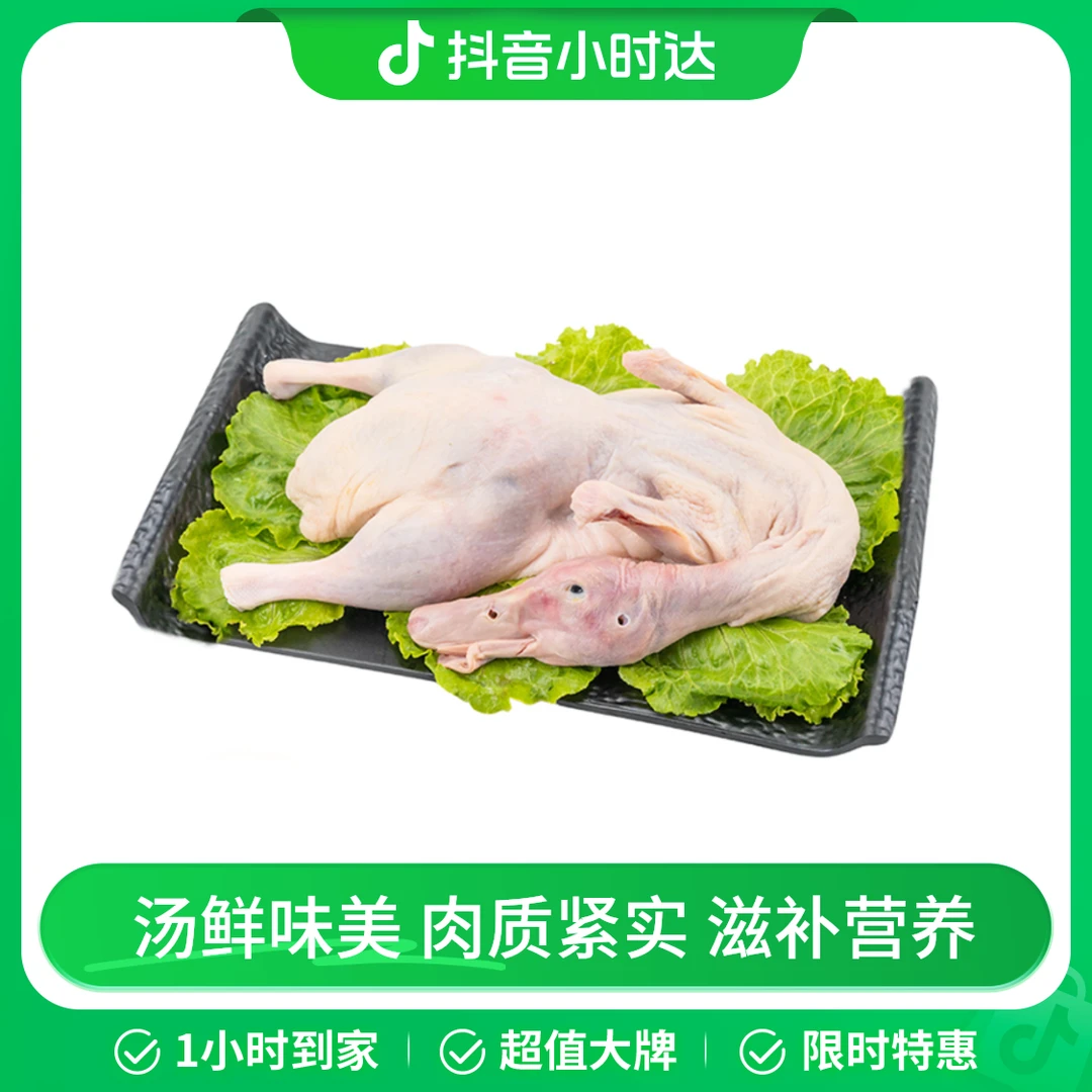 力源滋补老鸭（只）