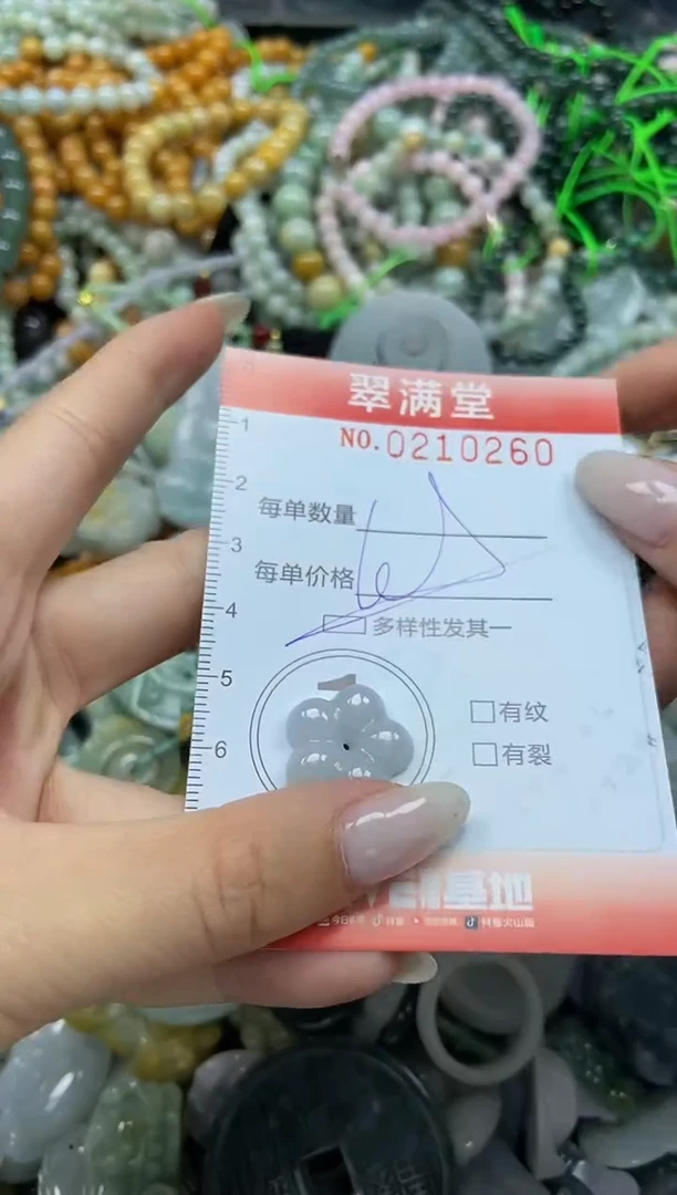 颈饰未镶嵌翡翠闪购0210260多样性发其一