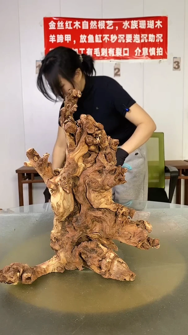 木楊*白金丝红木 羊蹄甲