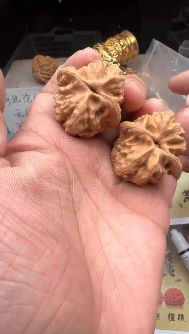 【闪购商品】桃核把件雷龙文玩52-36尺寸大沽石有磕尖