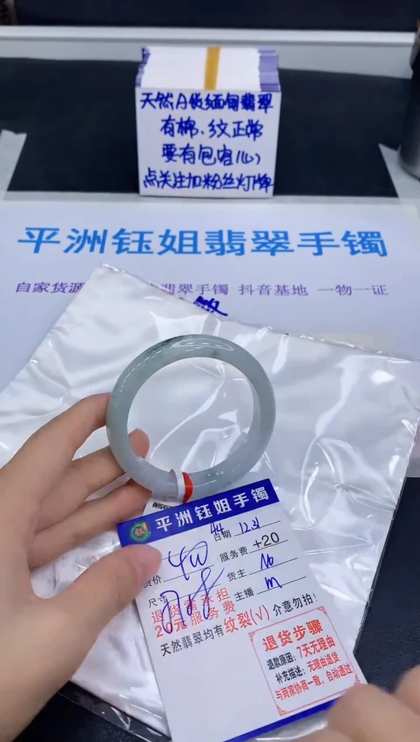 未镶嵌手镯翡翠11111