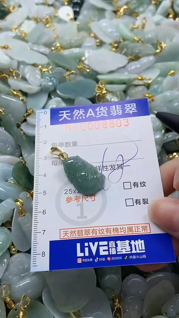 颈饰未镶嵌翡翠纯天然a货翡翠