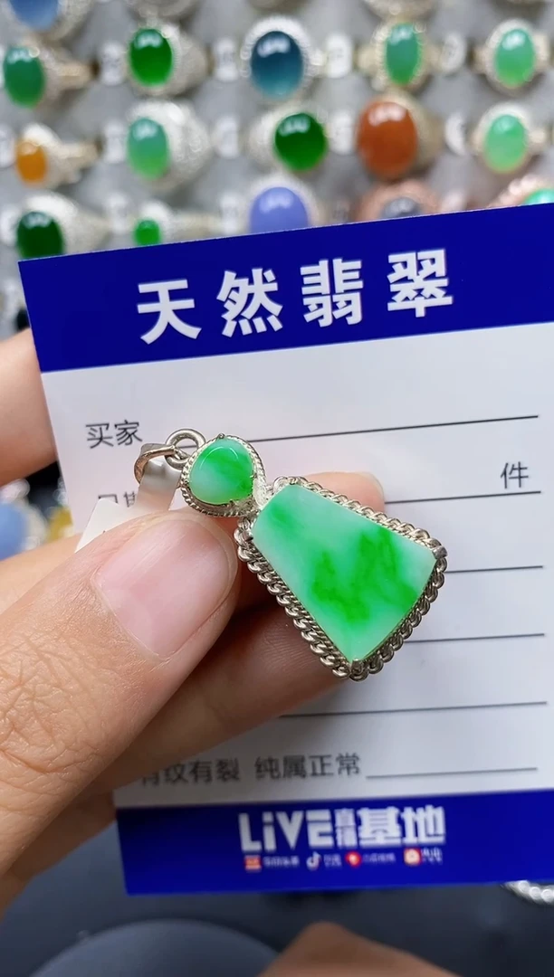 翡翠未镶嵌颈饰00000188