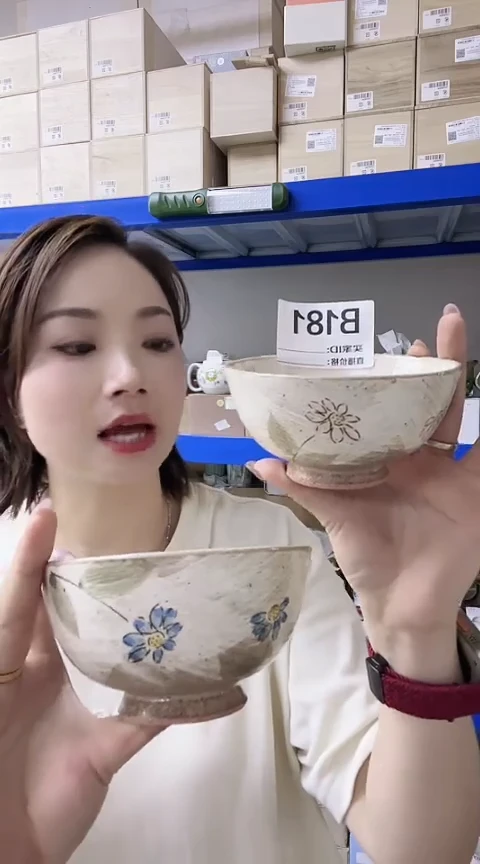 瓷片日本进口瓷器两只不同碗B181