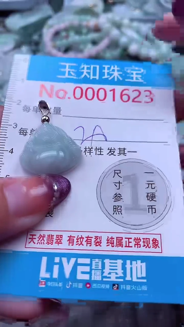 翡翠未镶嵌吊坠(不含链)1623