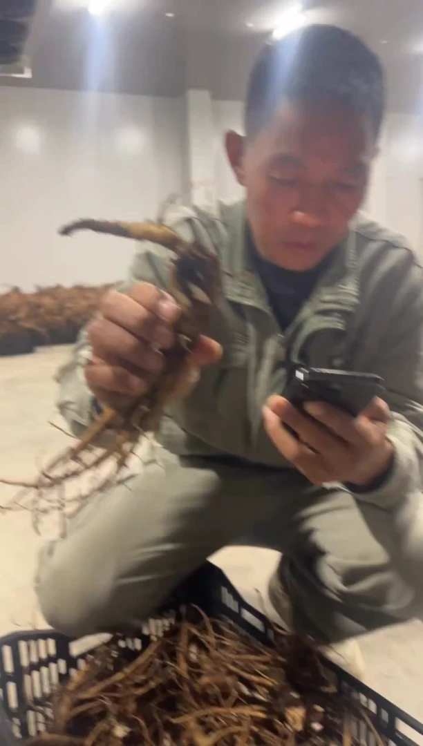 夏****0     夏目路泽520   耶多  178