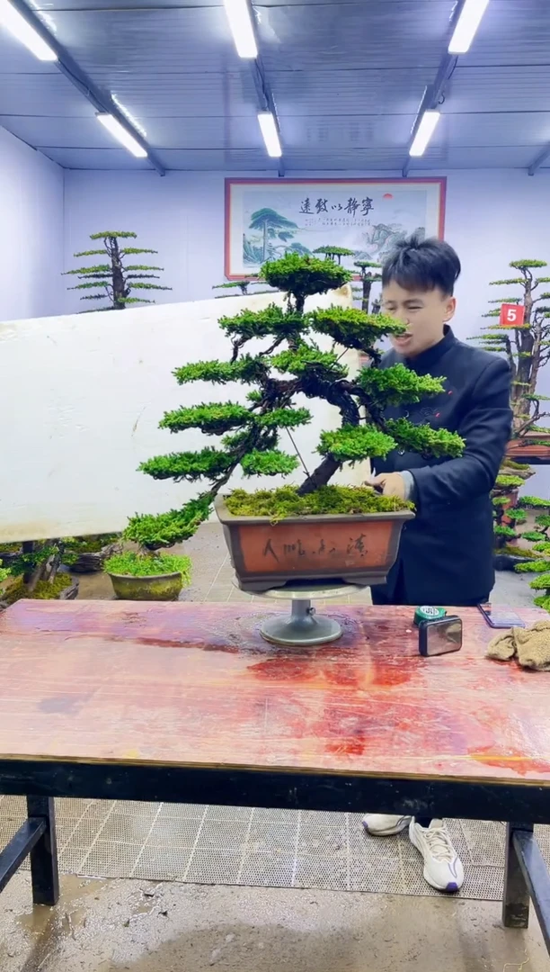 【闪购商品】一物一拍，所见即所得