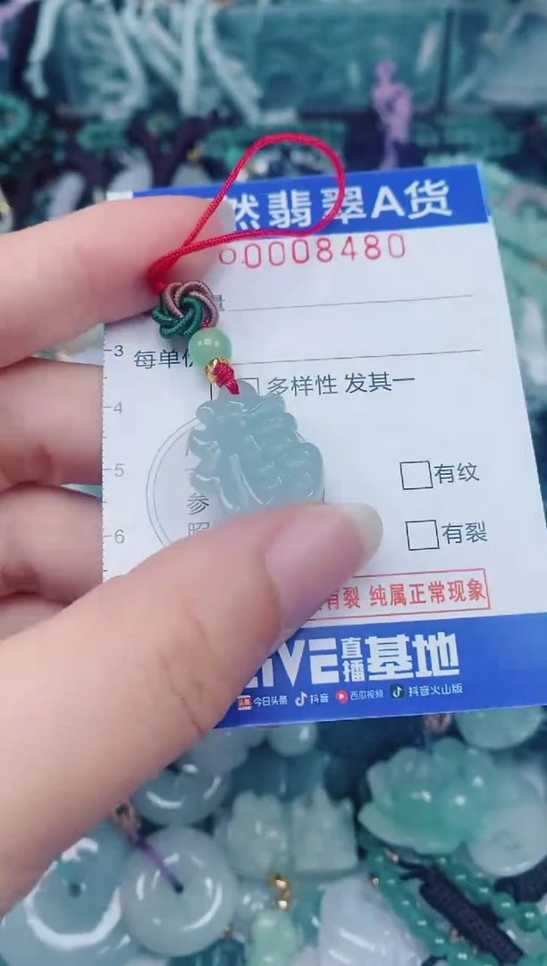颈饰未镶嵌翡翠00008480