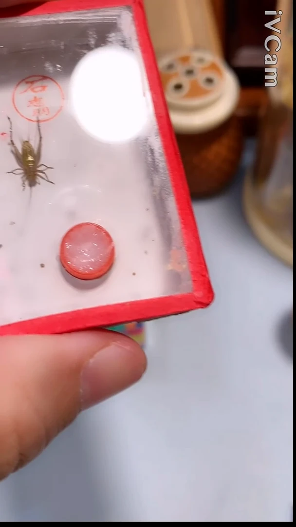 新到的石志明大黄蛉看品相