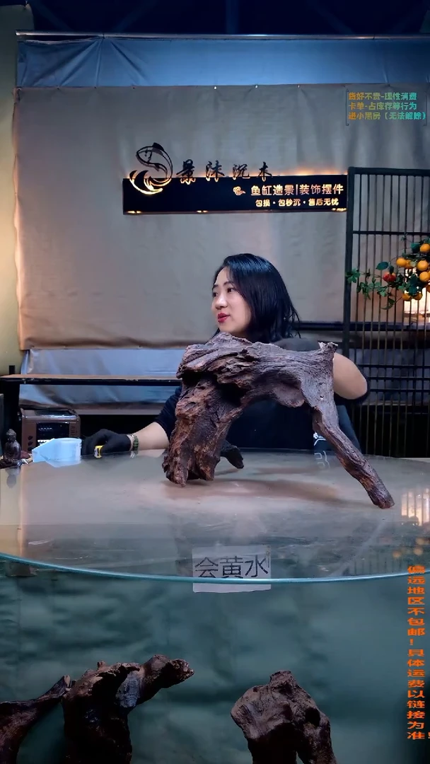 摆件景沐沉木B238 45-24-29