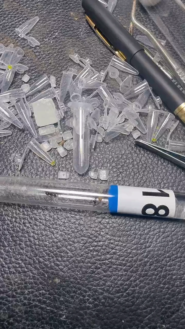 蚂蚁工坊183号白毛