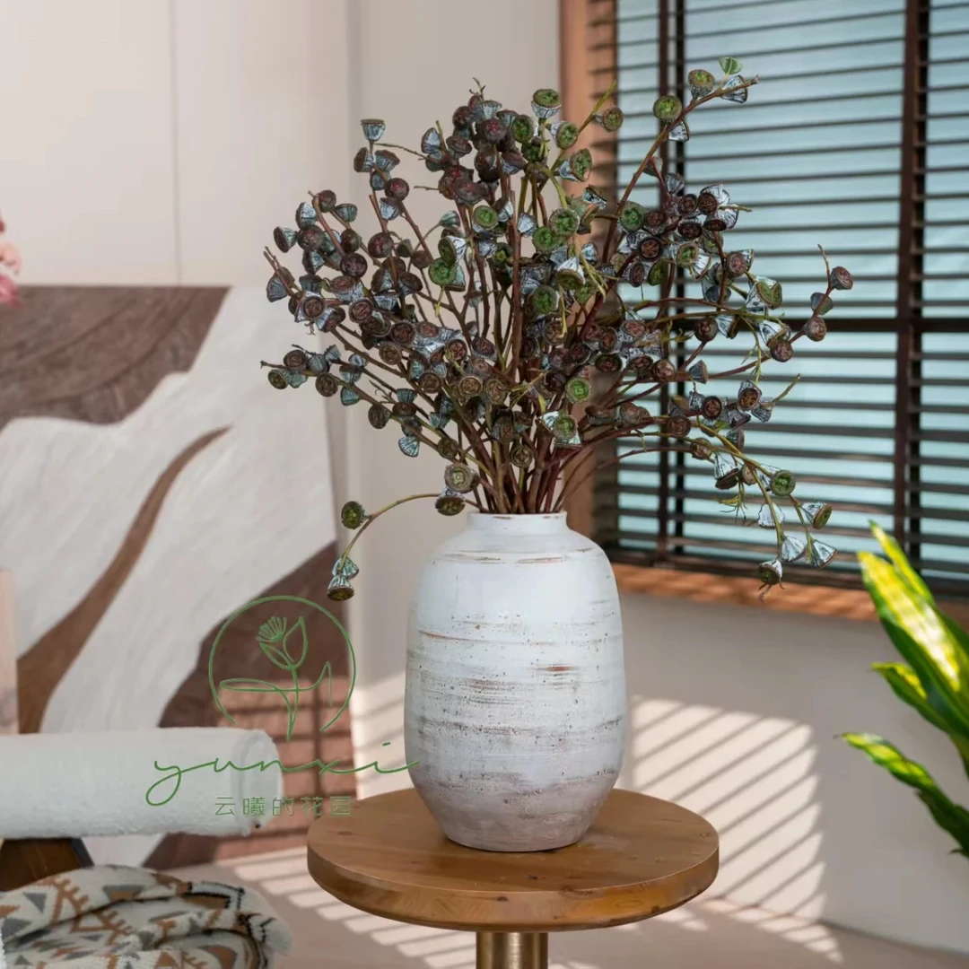 （冰与火之歌花束）宝石尤加利果老果可做干花家用客厅插花云南直发