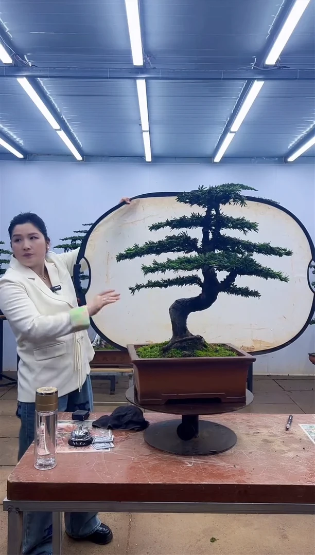 无花朵一物一拍，所见即所得