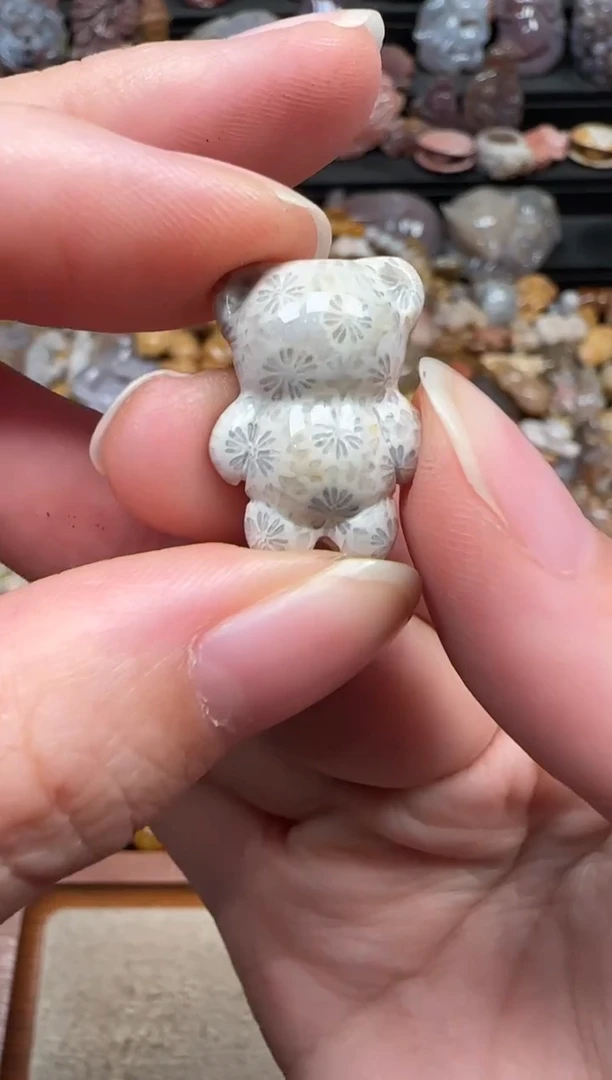 颈饰未镶嵌硅化珊瑚（珊瑚玉）789