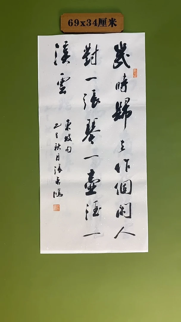 书法书法 张若鸿 尺寸69cm*34cm