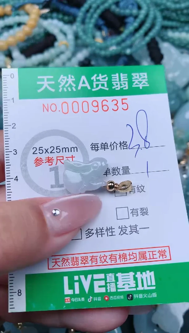 翡翠未镶嵌颈饰.0009635