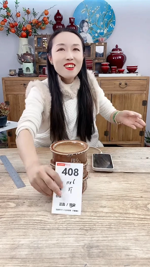 【闪购商品】红陶408