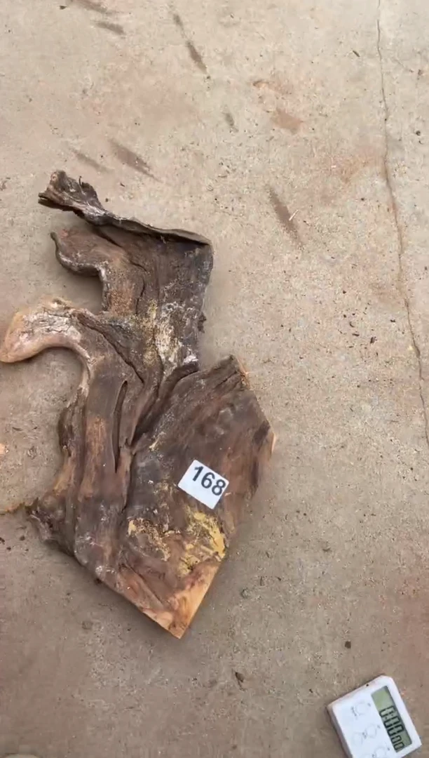 柏木（崖柏）太行陈化崖柏切片一块168