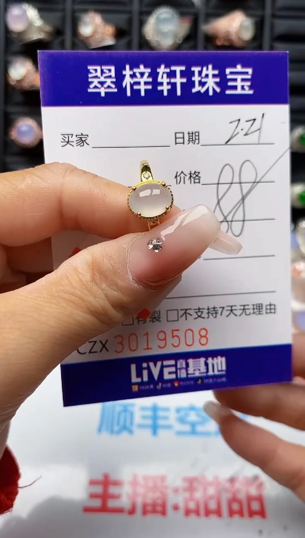 【闪购商品】翡翠戒指银S925镶嵌9508