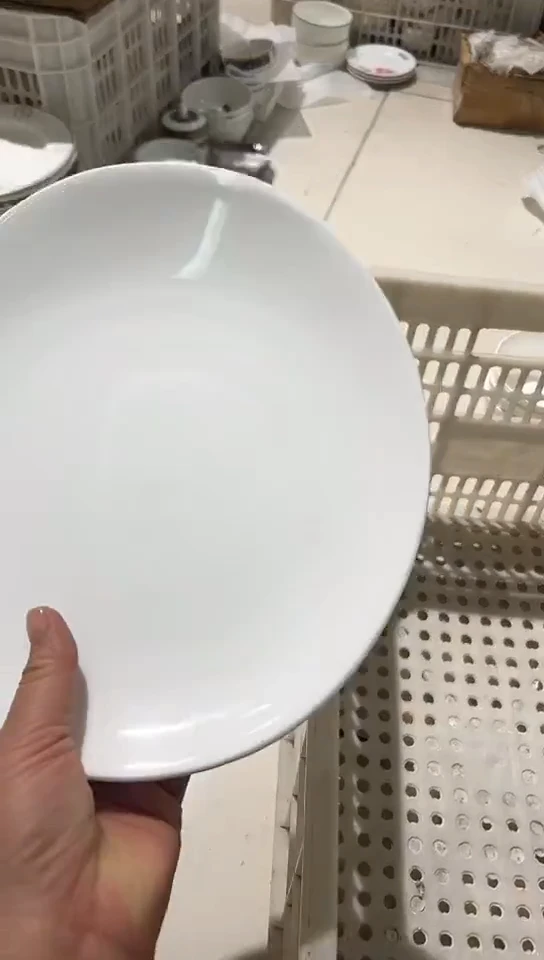 瓷10.5英寸不等式盘1个