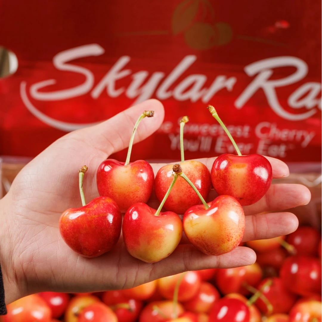 Skylar Rae智利进口空运天空之城金车2-3J车厘子 内附果径卡