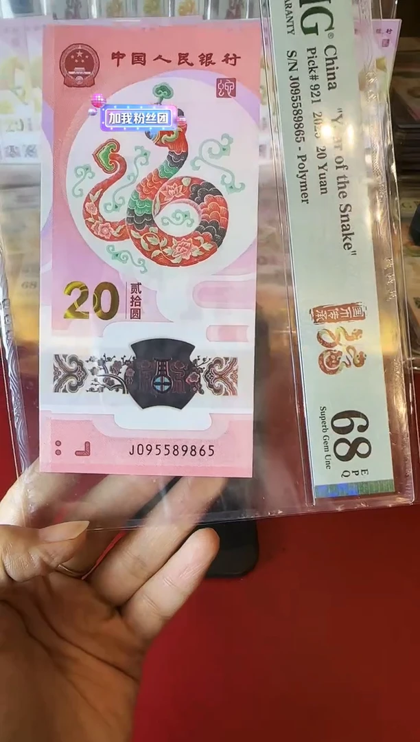 塑料2025 蛇钞 单张 095589865