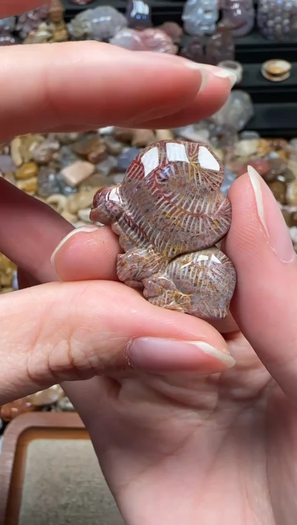 颈饰未镶嵌硅化珊瑚（珊瑚玉）409