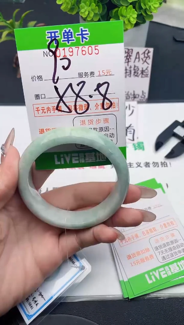 未镶嵌手镯翡翠05天然翡翠A货