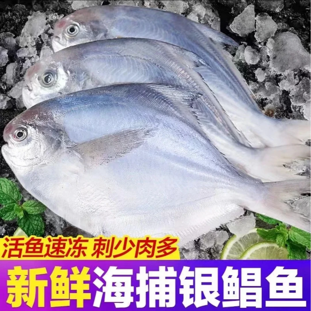 野生海捕速冻小号银鲳鱼 1斤7条到手5大斤 顺丰冷链