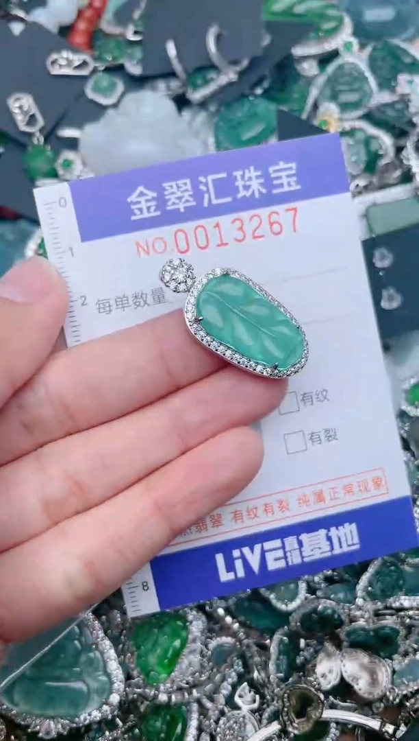 【闪购商品】翡翠颈饰未镶嵌13267.....1