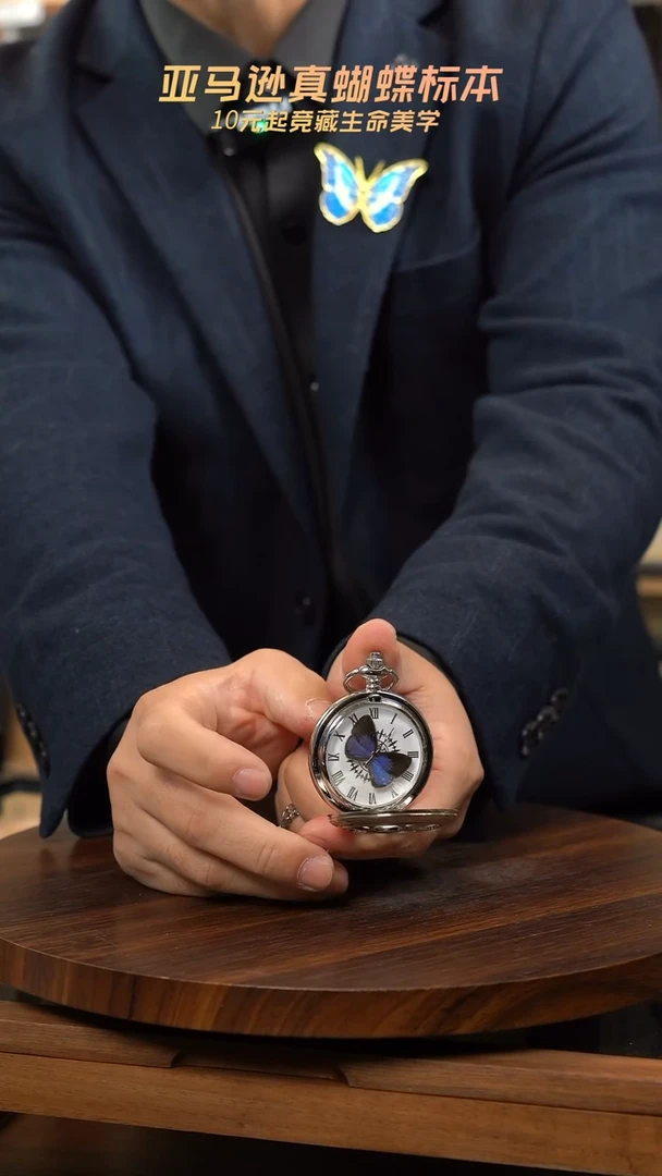 雅灰蝶标本怀表装饰