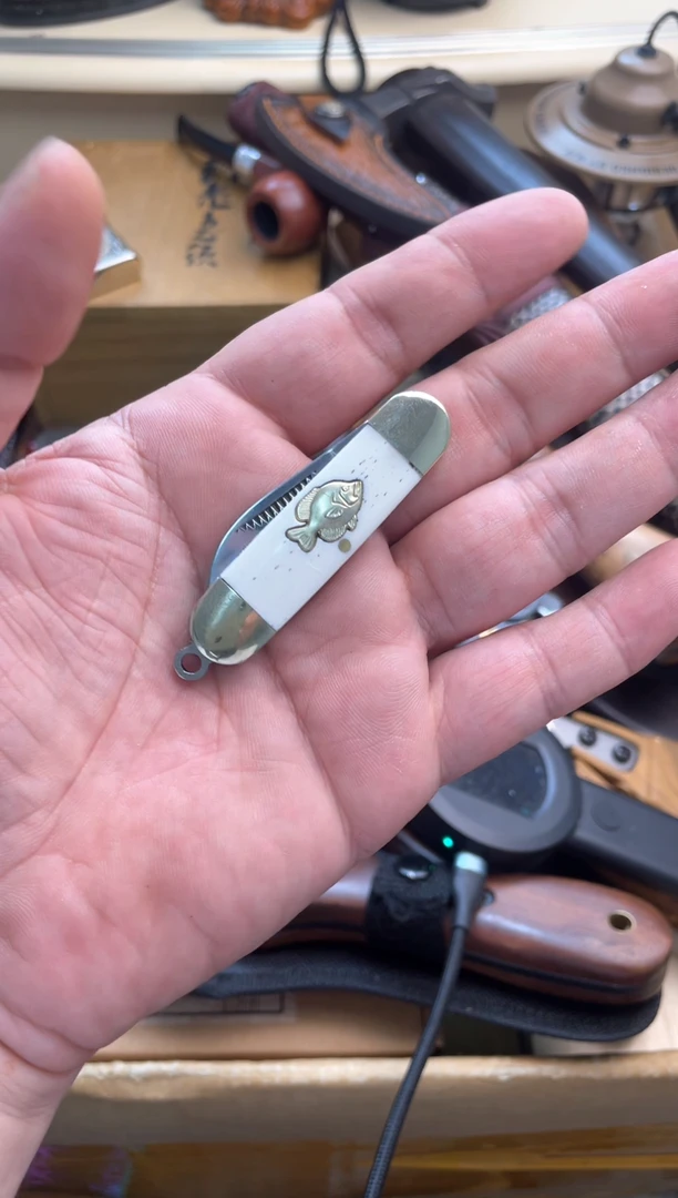 瓷片tyy 郑正杂货品质保证