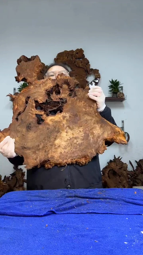 香杉树根瘤板材原料