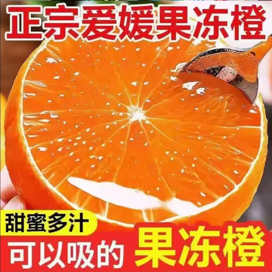 正宗四川眉山爱媛果冻橙新鲜现摘清甜爆汁细腻化渣应季水果XL